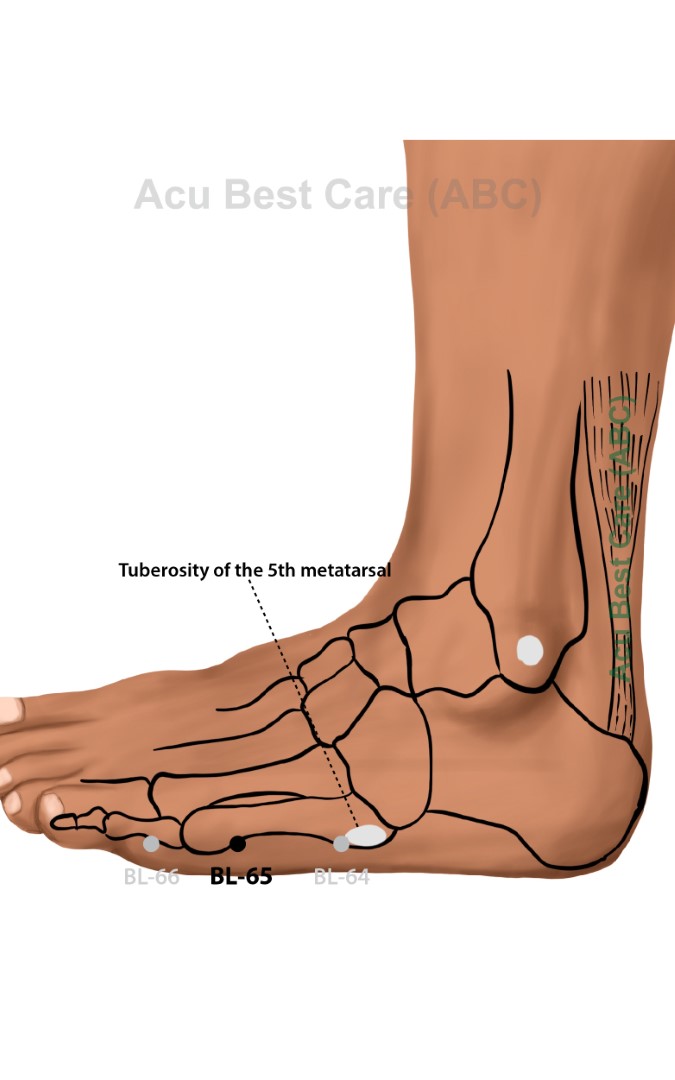 Acubestcare Meridian UB-65 or BL-65